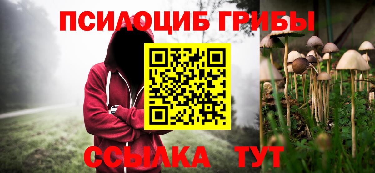 купить наркотик  Вход с VPN  Липецк  Галлюциногенные грибы прущие грибы 
